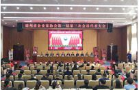 德州市企業(yè)家協(xié)會第一屆第三次會員代表會議順利舉行